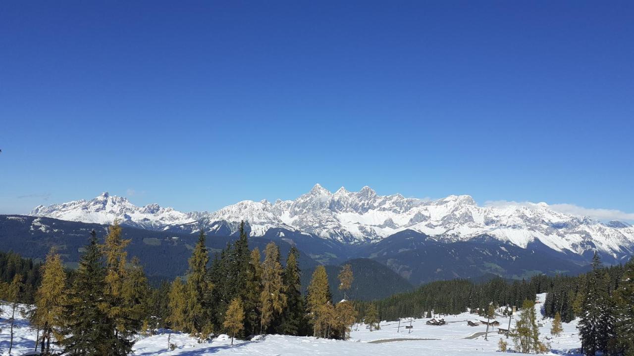 斯拉德明Himmlisch Urlauben In Pichl公寓 外观 照片